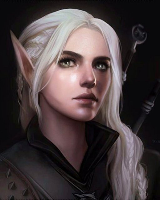 Aryana, Half-Elf Witch Hunter Fighter - The Magnificent Bastards - Myth ...